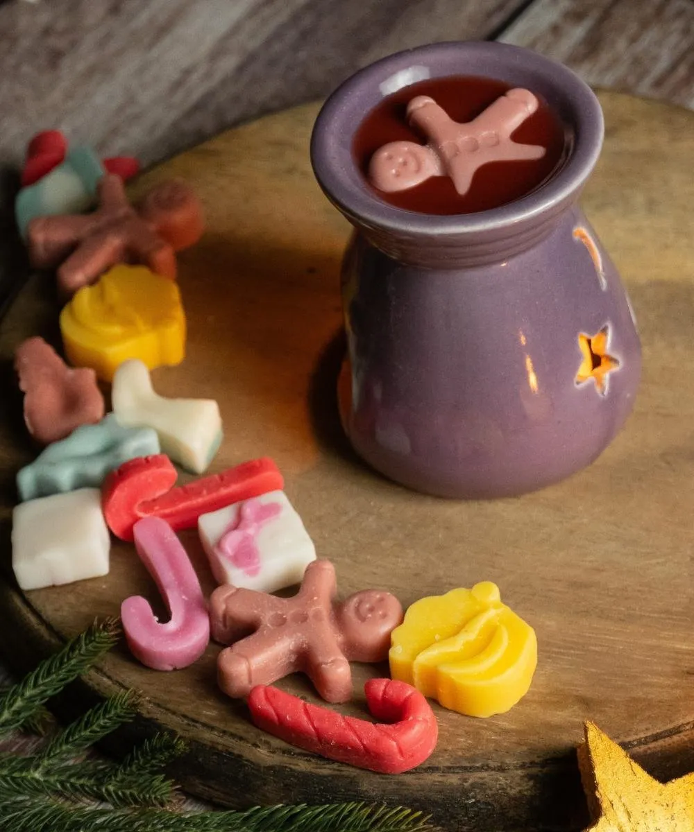 Christmas Soy Wax Melts