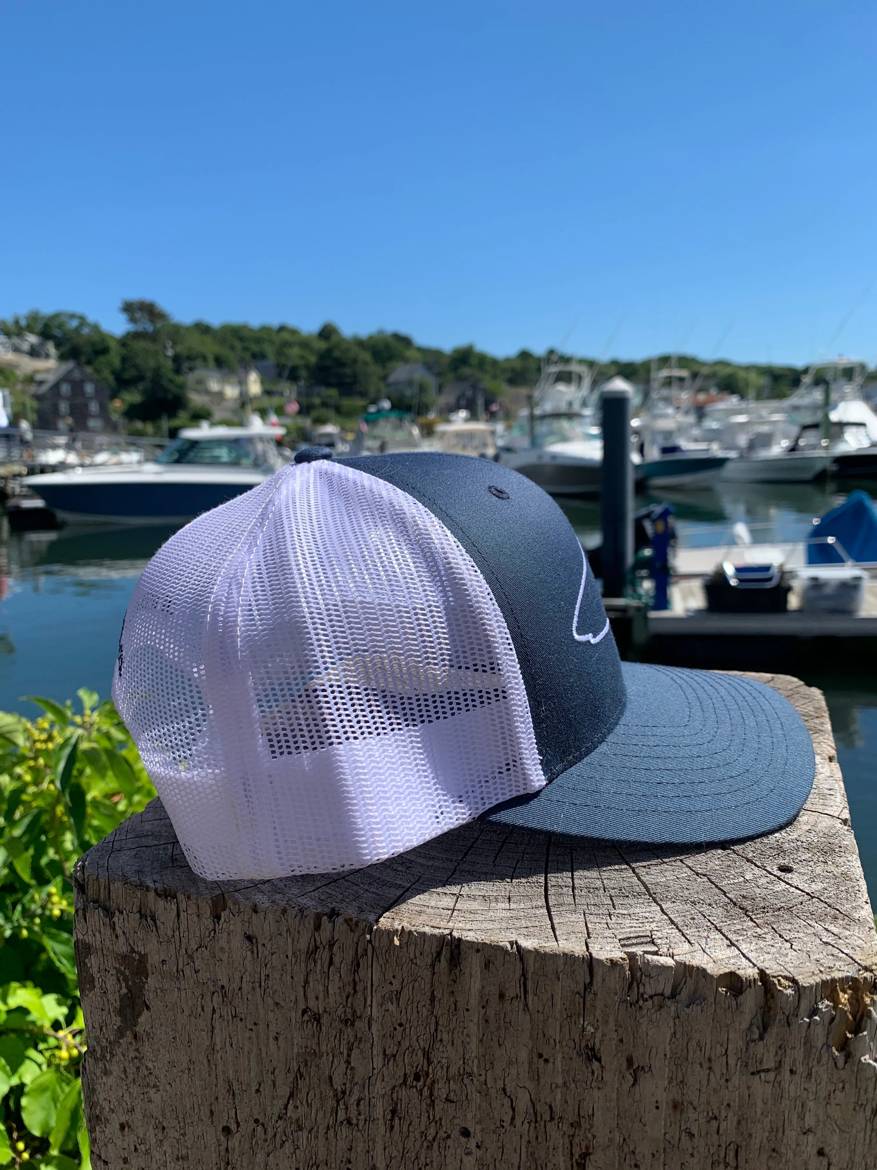 Shark Outline Structured Adjustable Hat