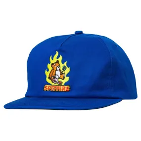 Spitfire - Lil Beatdowns Snapback Royal